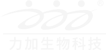 ng电子游戏
